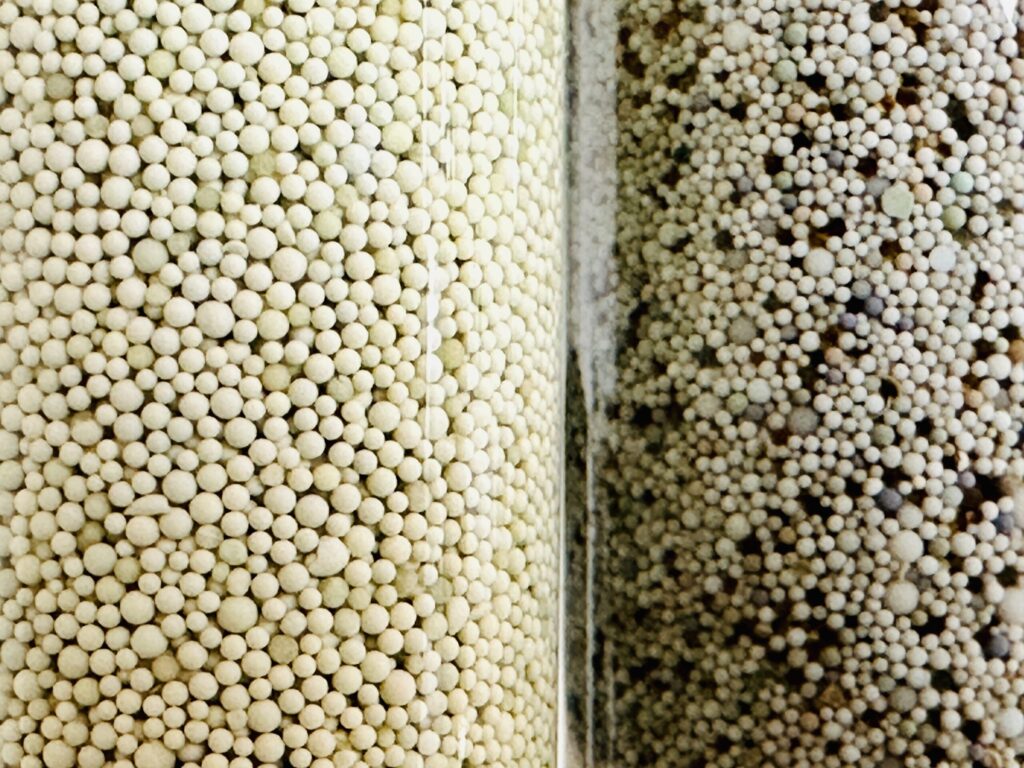 Ionenaustauscher funktion