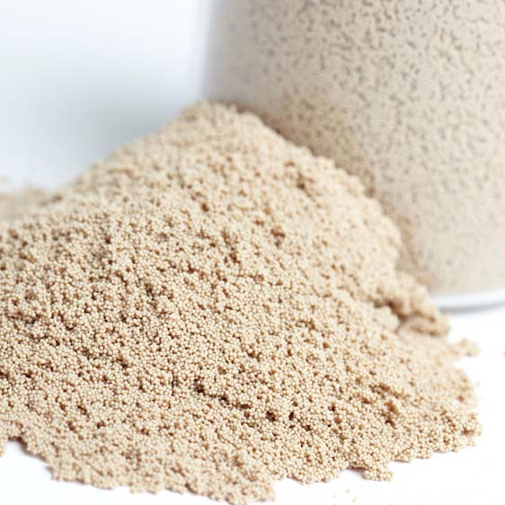 stark-saurer-Kationenaustauscher-Lewatit-SP112